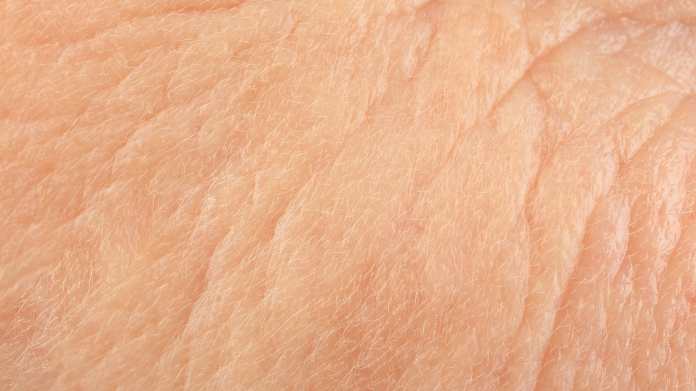 Haut mit Anti-Aging-Proteinen