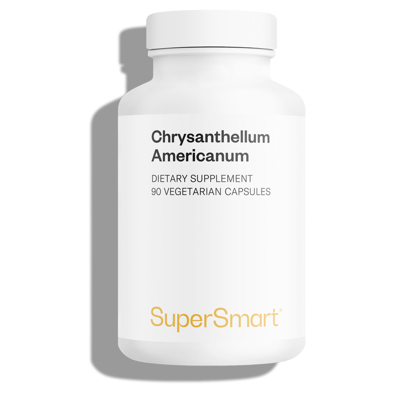 Complemento alimenticio de Chrysantellum americanum