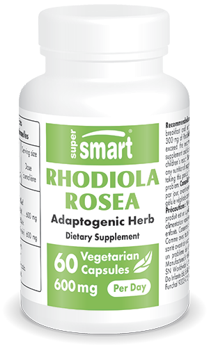 Rhodiola Rosea suplemento alimentar, planta adaptogénica