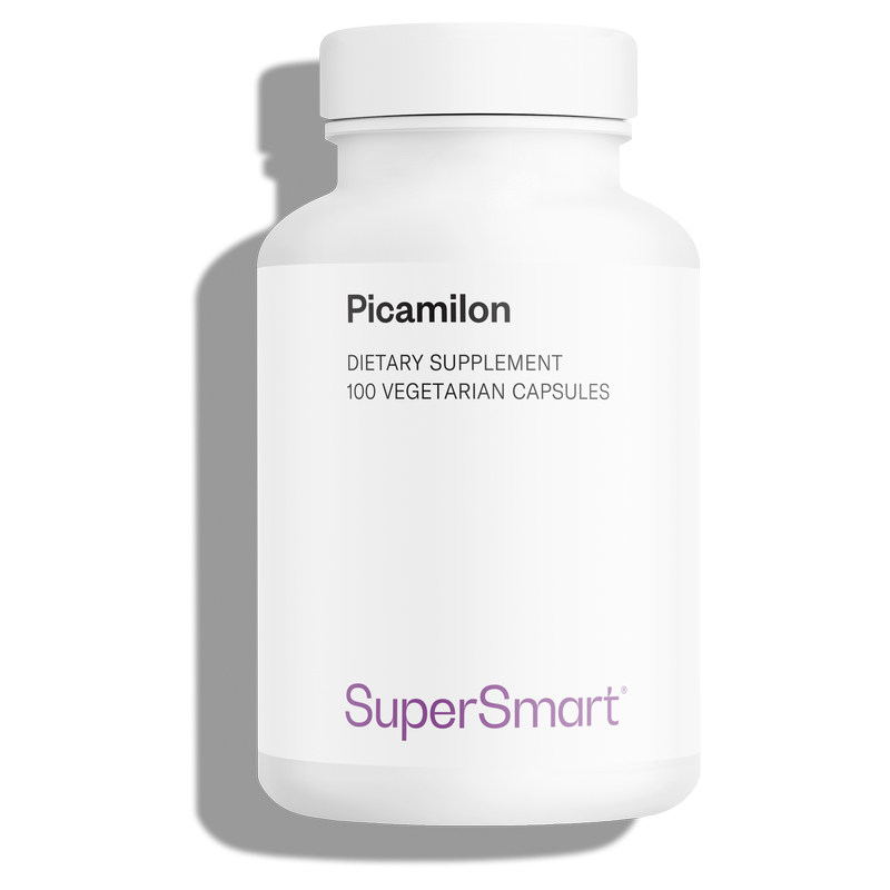 Picamilon Supplement