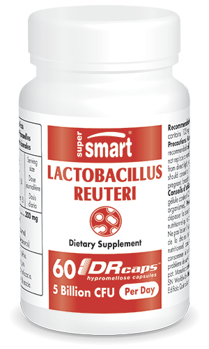 Complément probiotique Lactobacillus reuteri