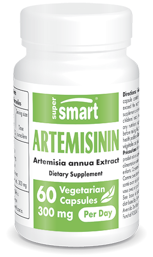 Suplemento alimentar Artemisininina