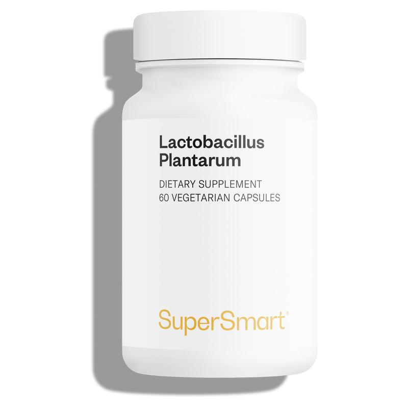 Probiótico de Lactobacillus plantarum HK L-137