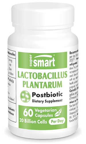 Preparat probiotyczny zawierający Lactobacillus plantarum HK L-137