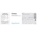 Catalase