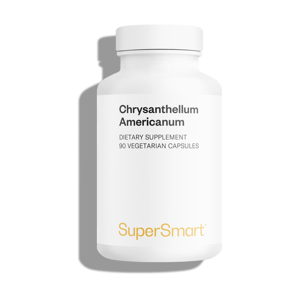 Supplement van Chrysantellum americanum