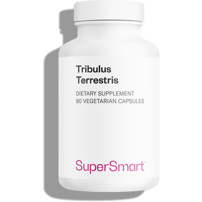 Tribulus Terrestris dietary supplement, 40% saponins