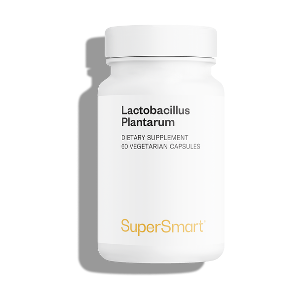 Probioticum van Lactobacillus plantarum HK L-137