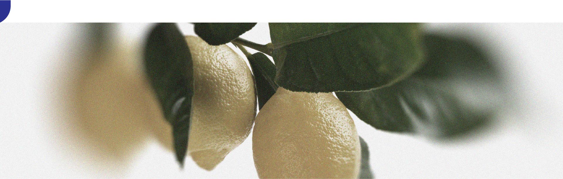 Qué alimentos pueden aliviar la tendinitis