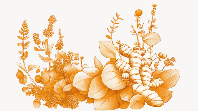 Mejores antibióticos naturales