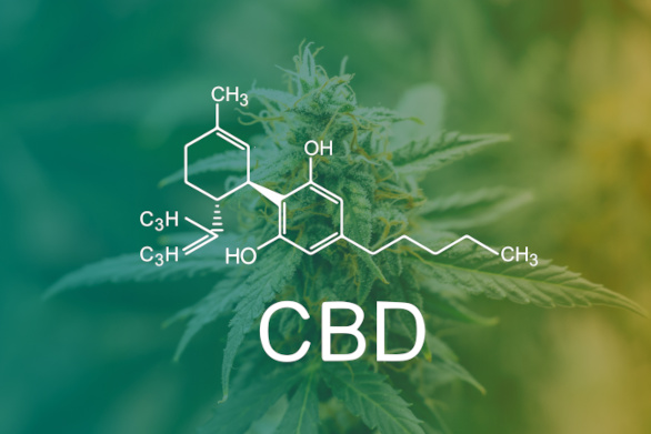 Molécula de CBD e planta de cannabis