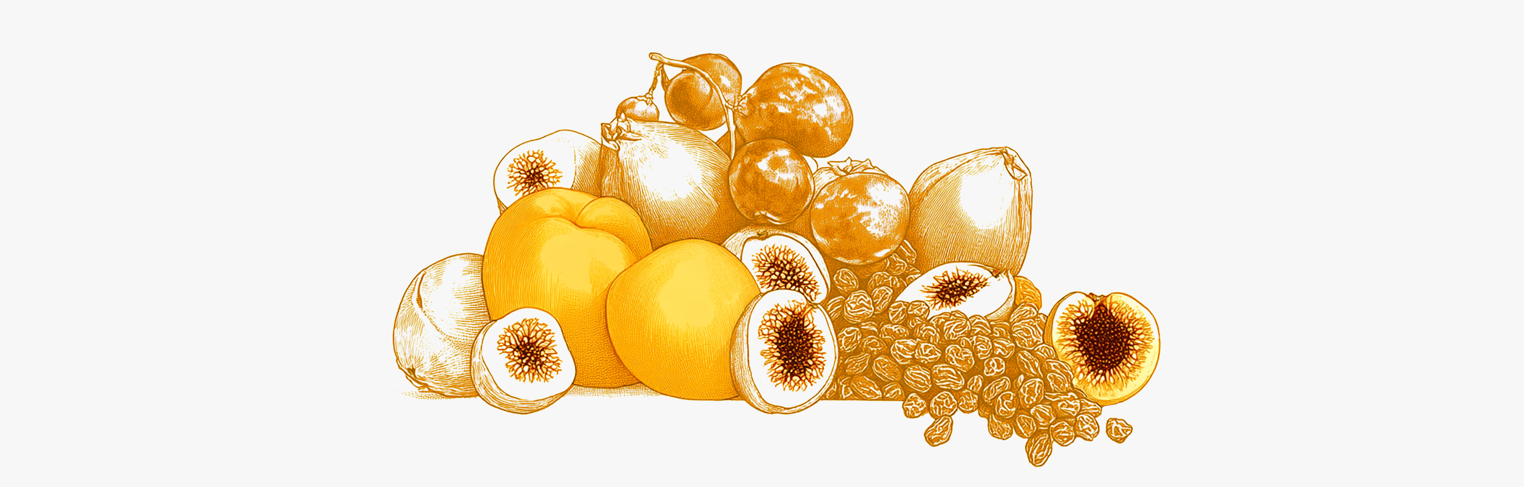 Frutas ricas em ferro: quais escolher para evitar uma carência?