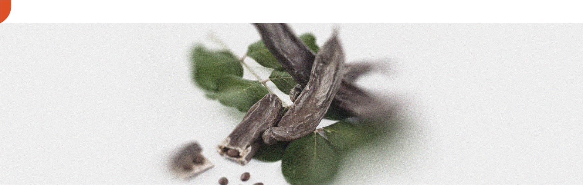 De voordelen van johannesbrood