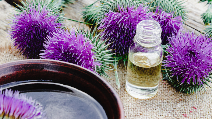 Liver-detoxifying milk thistle