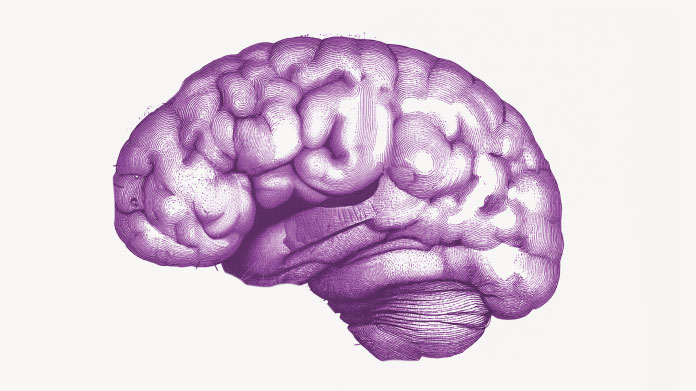 Descubra si la colina puede reducir los trastornos neurológicos
