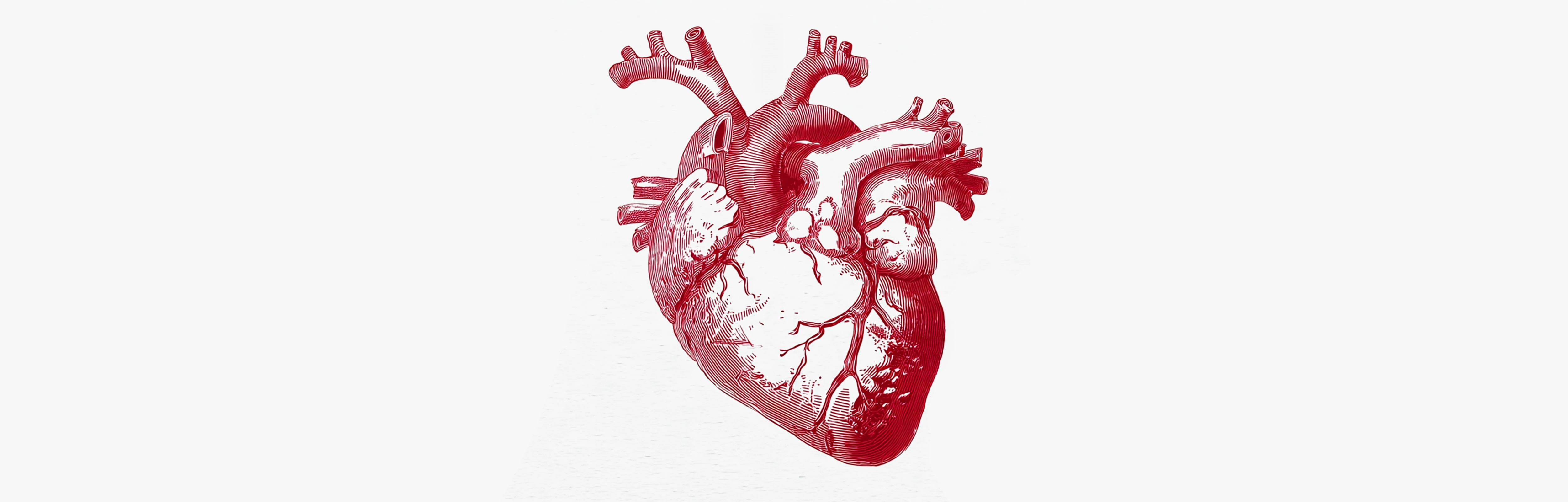 Fluidificazione del sangue