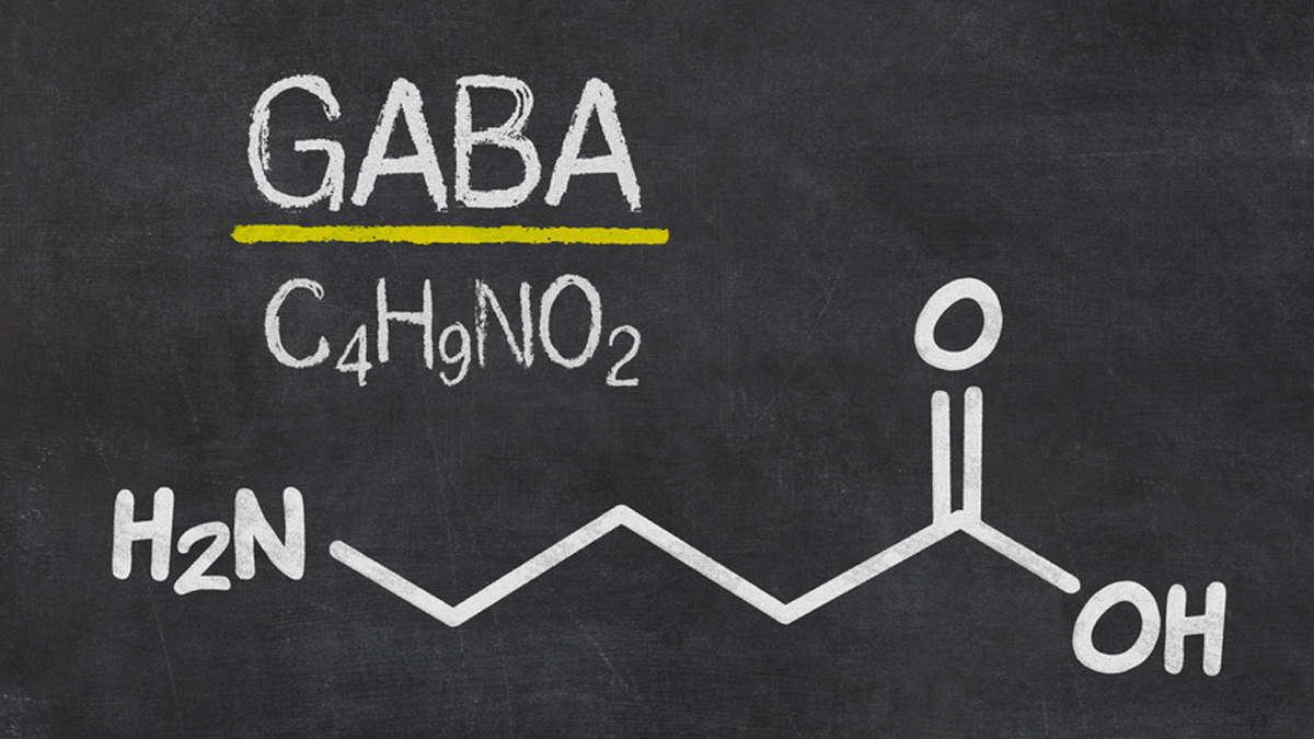 Neurotransmetteur GABA