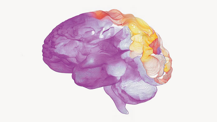 Find out whether taking GABA supplements could be dangerous