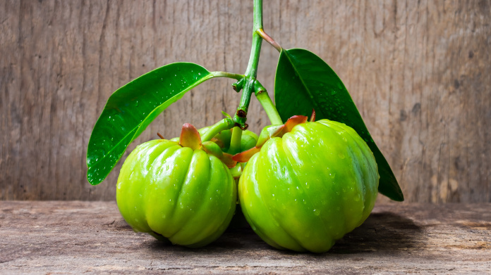 Fruto do queima-gorduras Garcinia cambogia