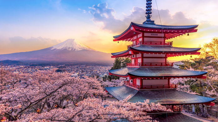 Il Giappone è la culla della medicina Kampo