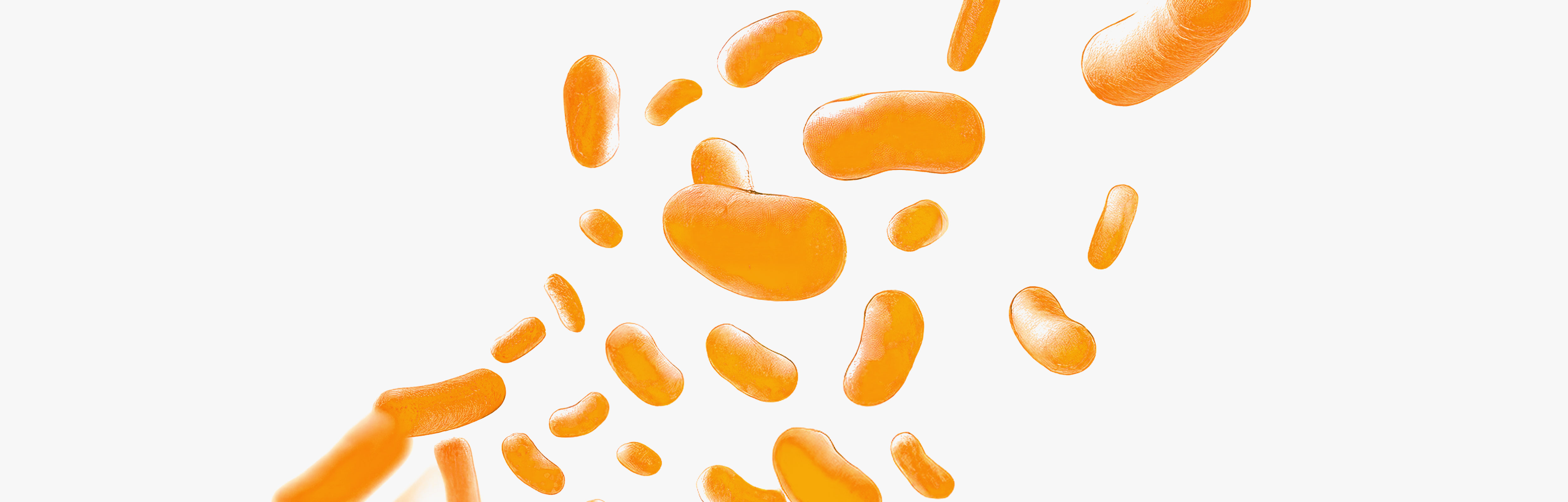 I benefici del Lactobacillus plantarum