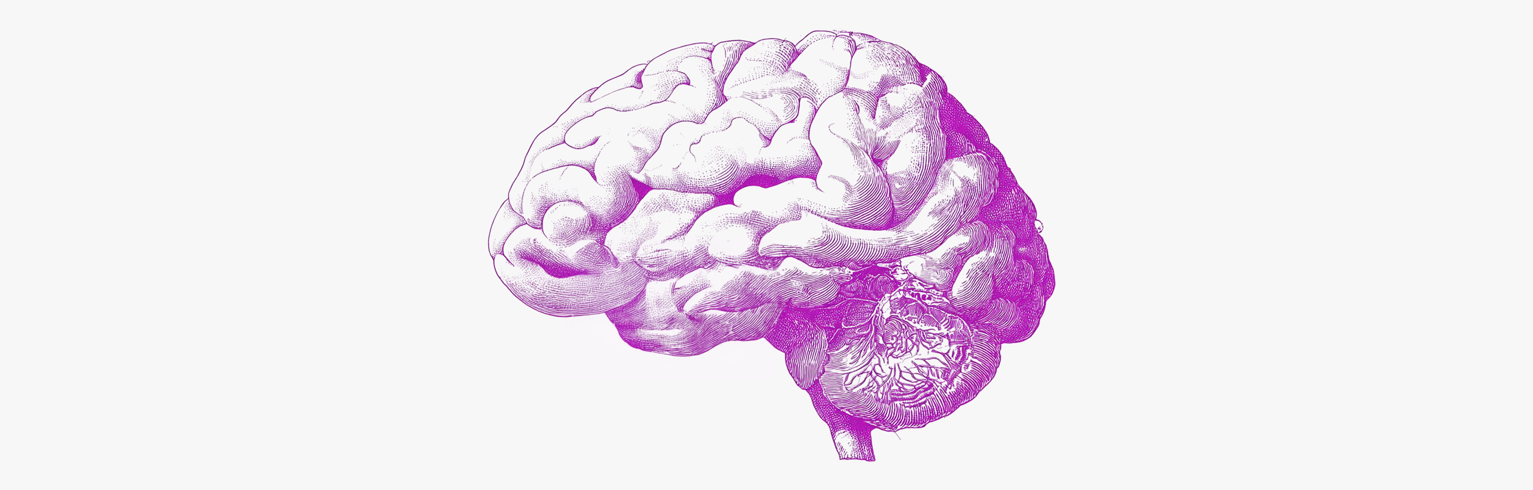 Studi e ingredienti per la memoria