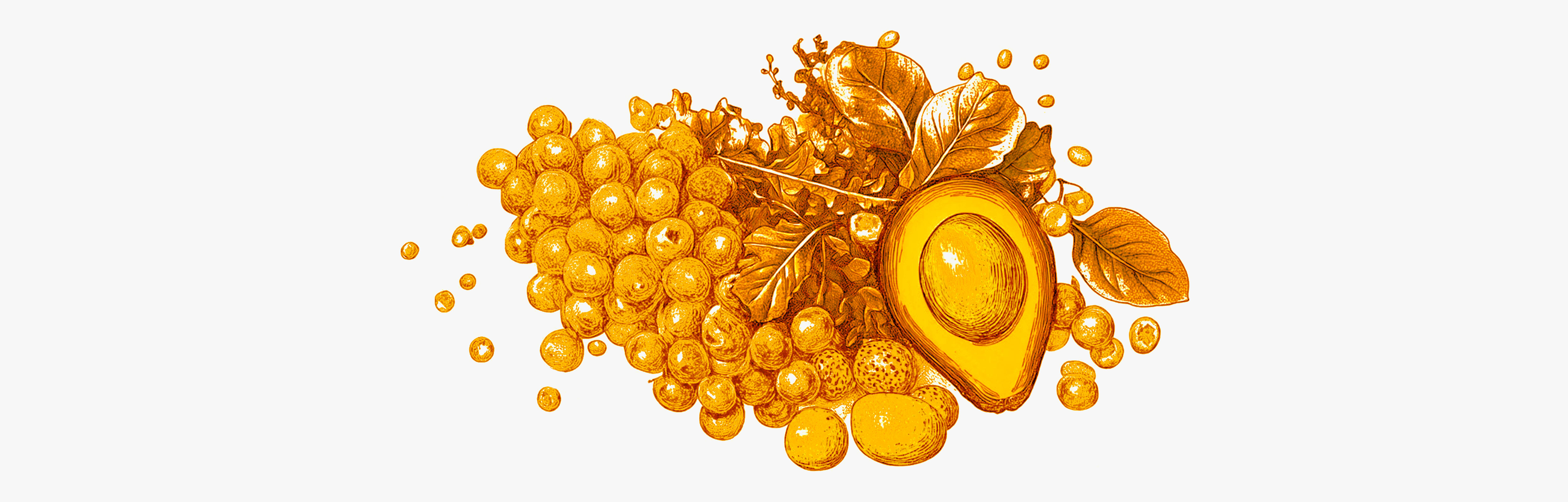 Benefícios da micronutrição