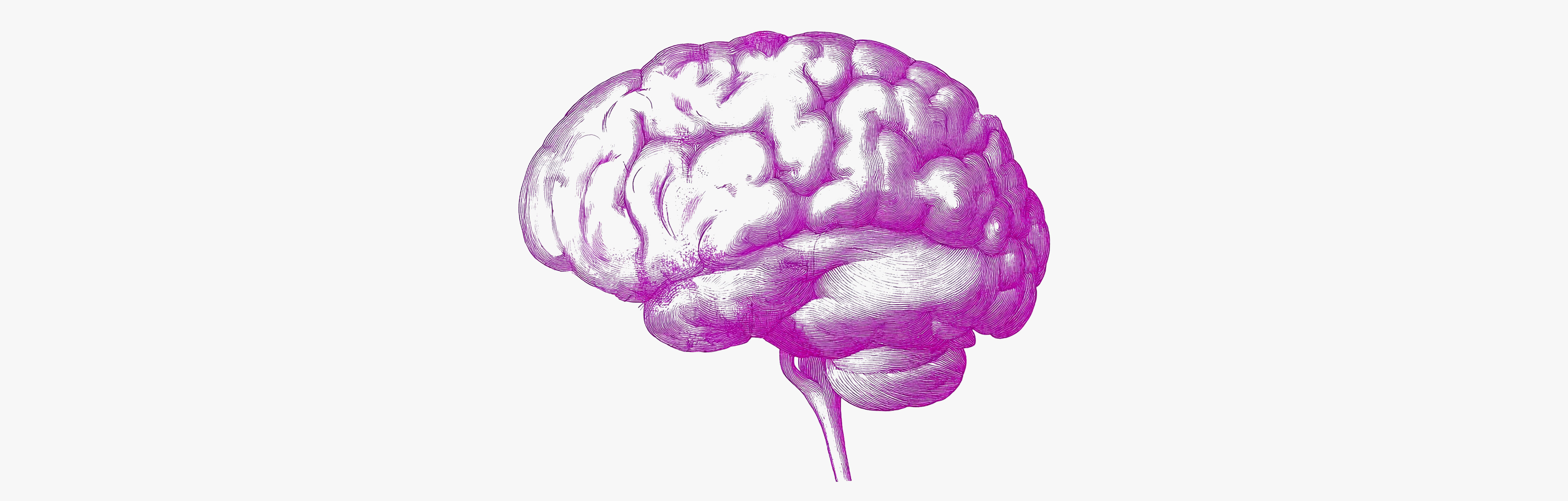 Multivitaminas para combater o declínio cognitivo