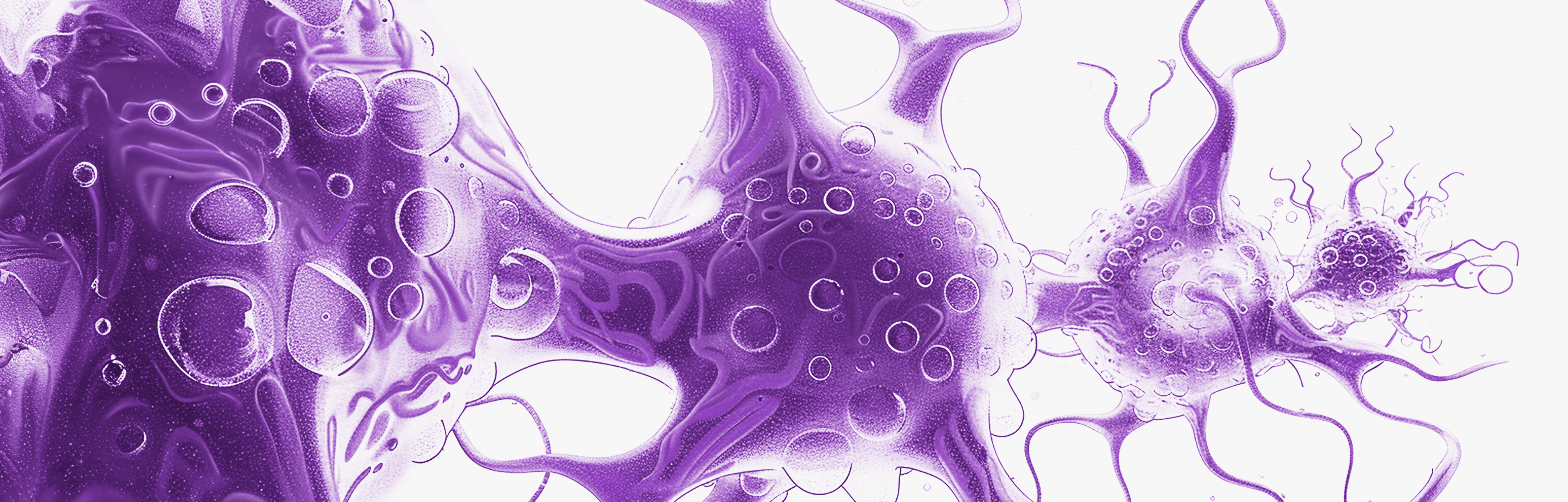 Neuroprotektive Nahrungsergänzungsmittel