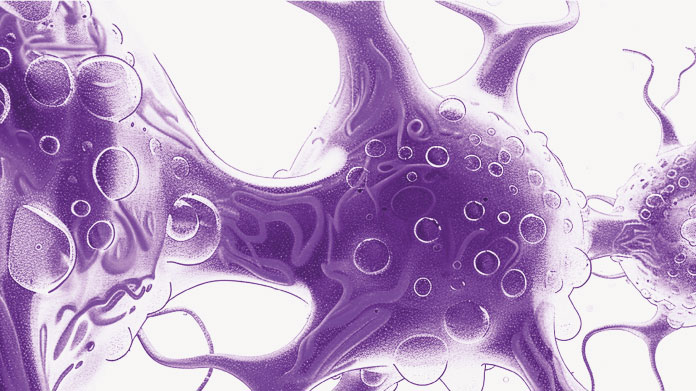 Neuroprotective supplements
