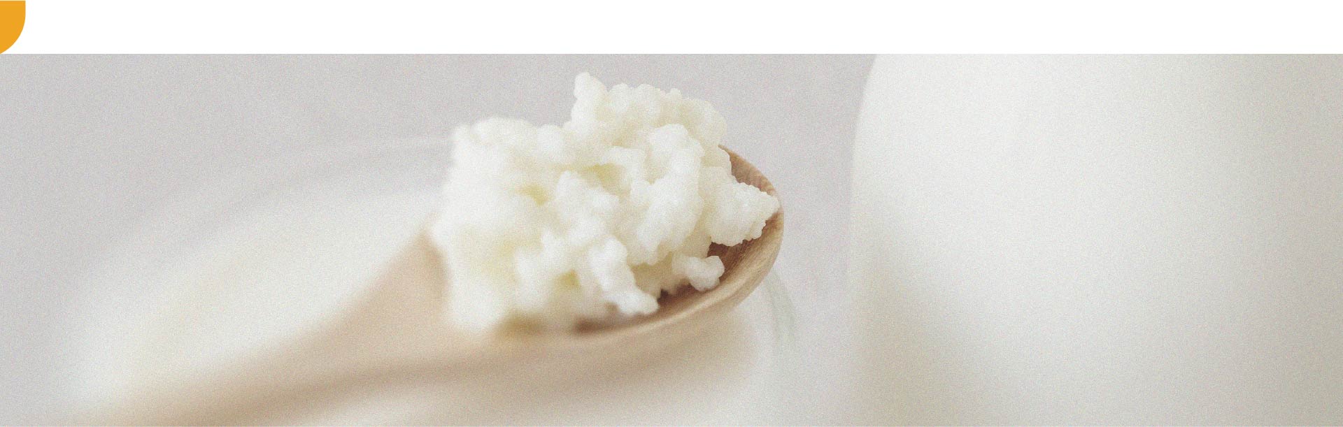 Verschillende voedingsmiddelen dragen bij aan de gezondheid