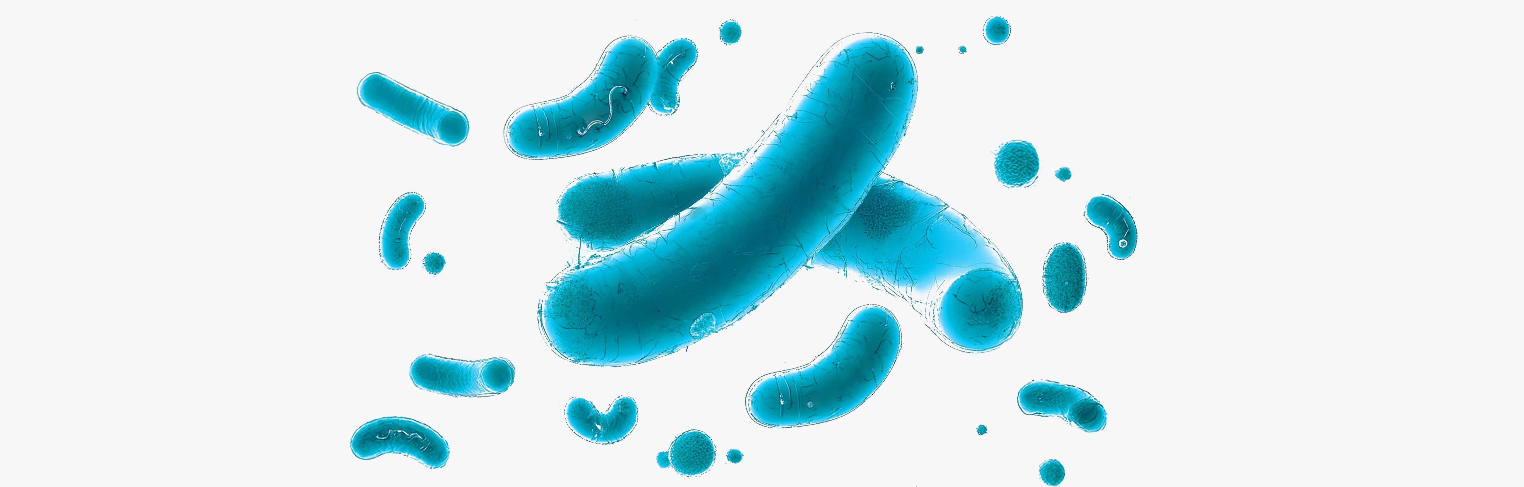 Gesundheitsfördernde Postbiotika