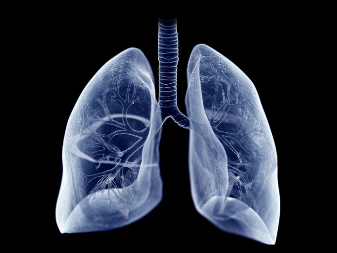 Gesundheit der Lunge