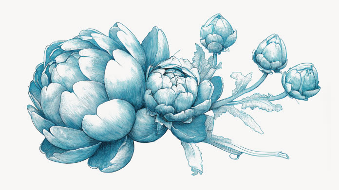 Er bestaan verschillende soorten prebiotica