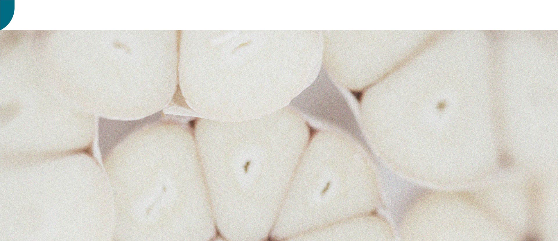 Descubra la diferencia entre los prebióticos y los probióticos