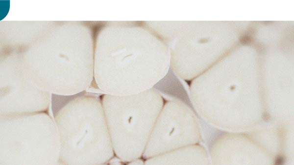 Descubra la diferencia entre los prebióticos y los probióticos