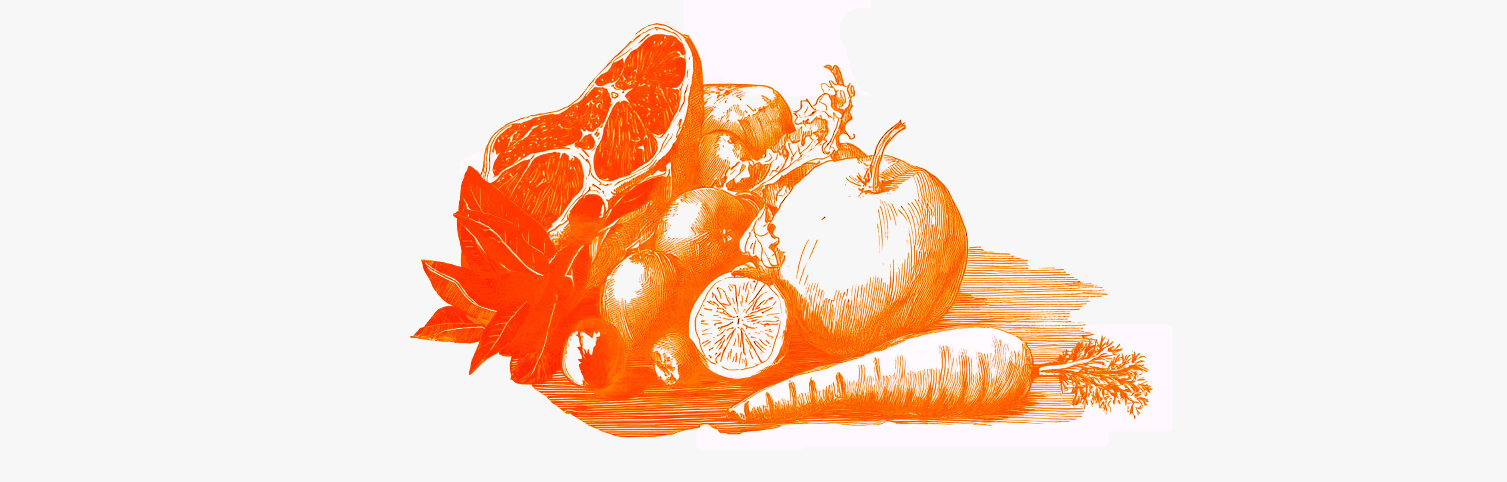 Scopri tutto sulla dieta Dukan