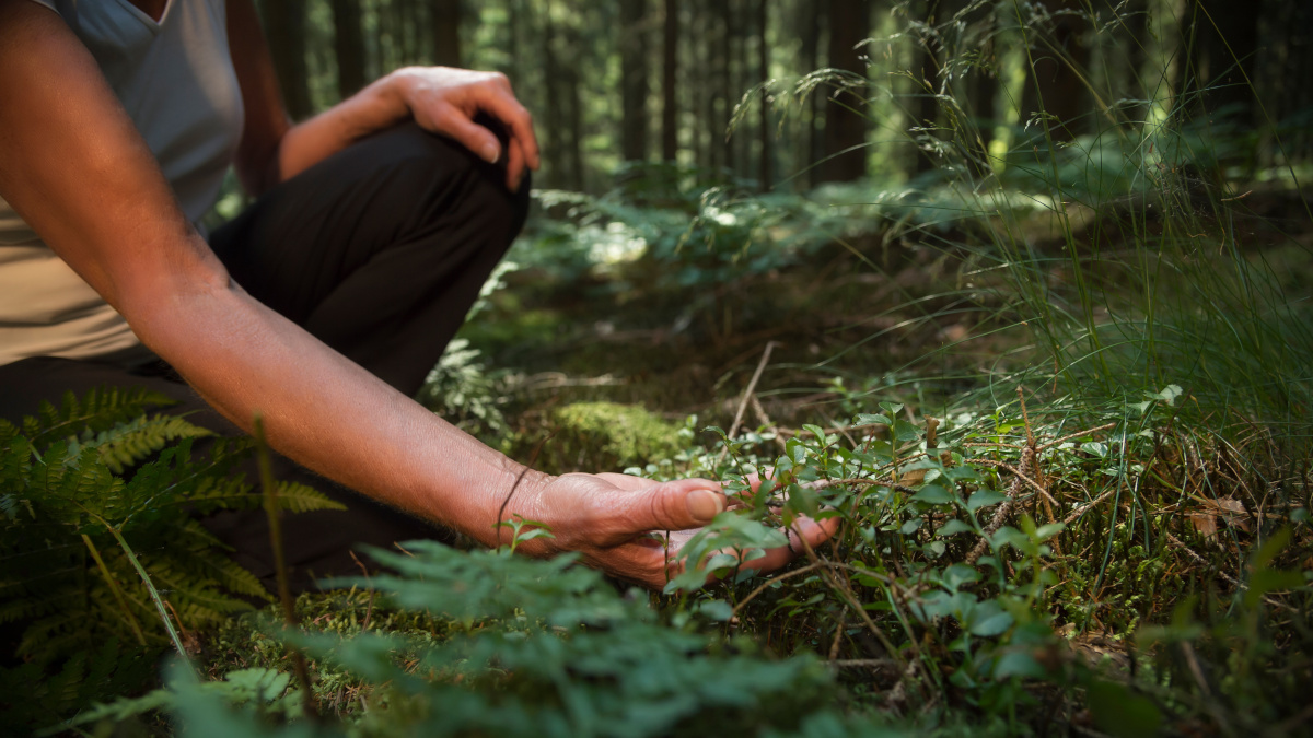 Sylvothérapie dans la forêt