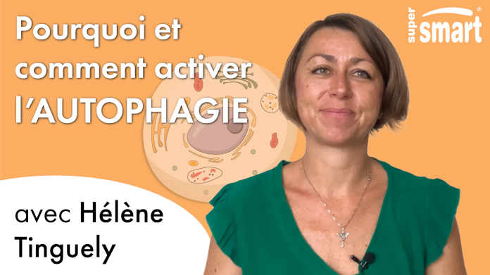 Techniques pour activer l'autophagie