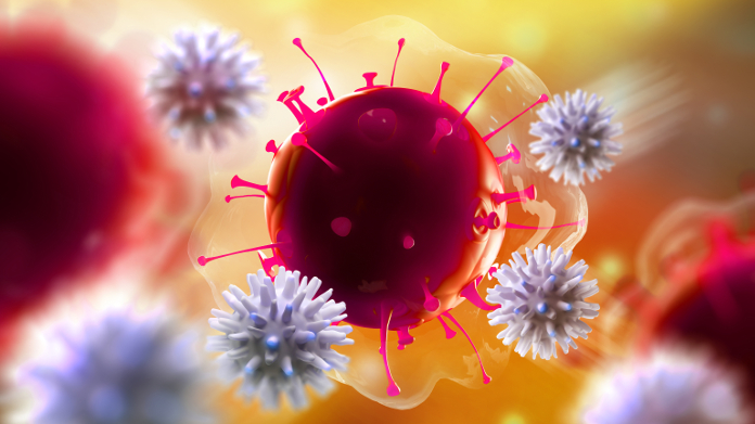 Witte bloedcellen die virussen aanvallen in het lichaam.