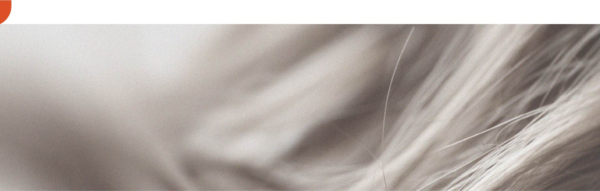 Wie Zink die Haargesundheit fördern kann