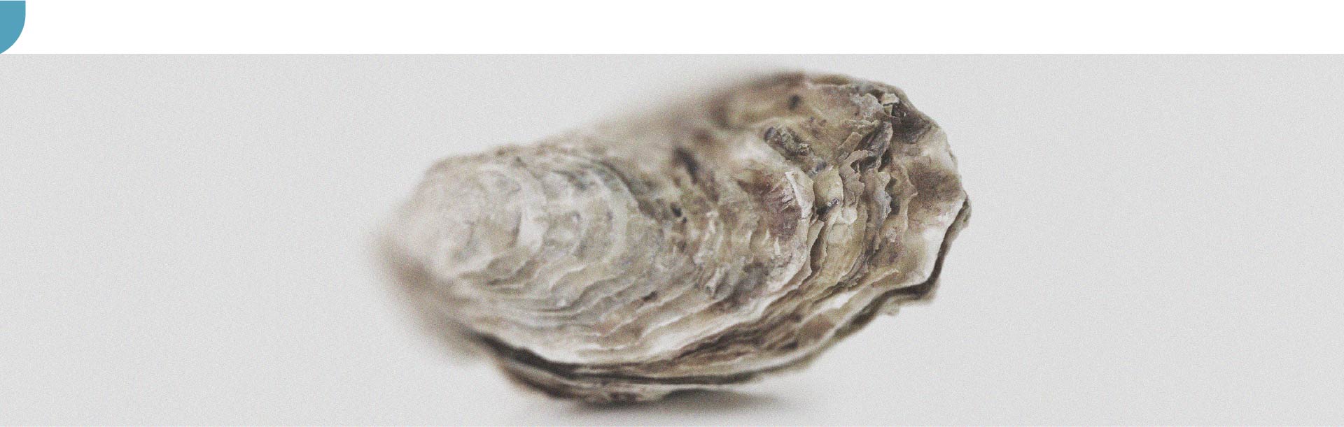 I benefici dello zinco per la donna