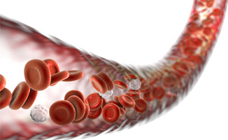 Bloedsuikerspiegel & Cholesterol